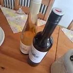 Slunecni Terezka ,penzion Pro Skupiny Se Snidani,degustaci Vin Villa