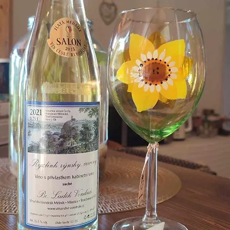 Villa Slunecni Terezka ,penzion Pro Skupiny Se Snidani,degustaci Vin