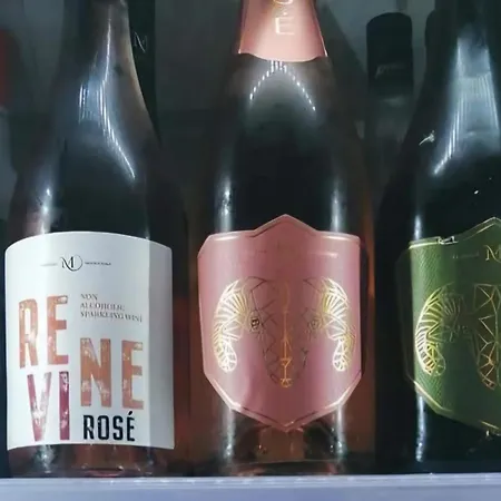 Slunecni Terezka ,penzion Pro Skupiny Se Snidani,degustaci Vin *