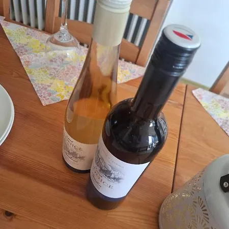 Slunecni Terezka ,penzion Pro Skupiny Se Snidani,degustaci Vin Βίλα