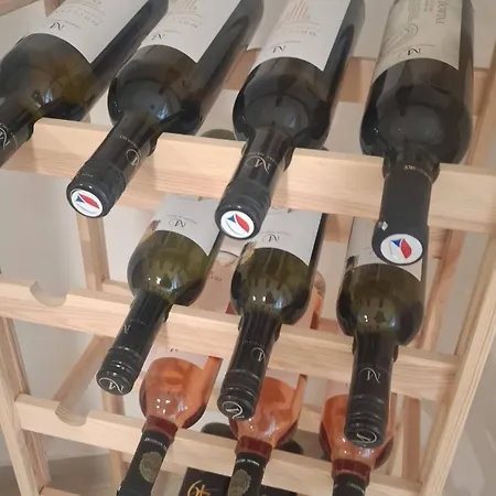 Villa Sluneční Terezka ,penzion Pro Skupiny Se Snídaní,degustací Vín *