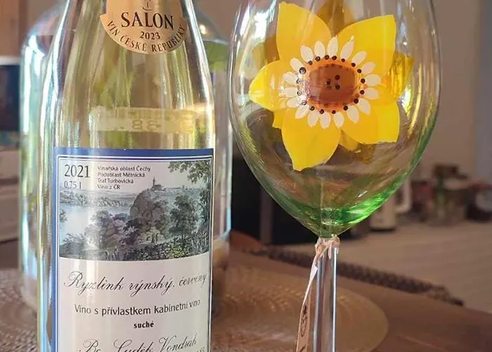 别墅 Slunecni Terezka ,penzion Pro Skupiny Se Snidani,degustaci Vin