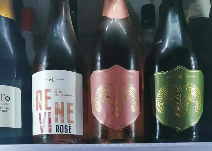 Slunecni Terezka ,penzion Pro Skupiny Se Snidani,degustaci Vin *