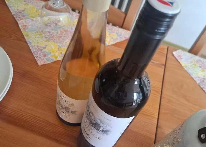 Slunecni Terezka ,penzion Pro Skupiny Se Snidani,degustaci Vin 别墅