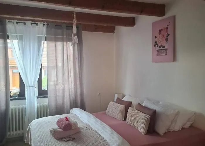 Slunecni Terezka ,penzion Pro Skupiny Se Snidani,degustaci Vin *