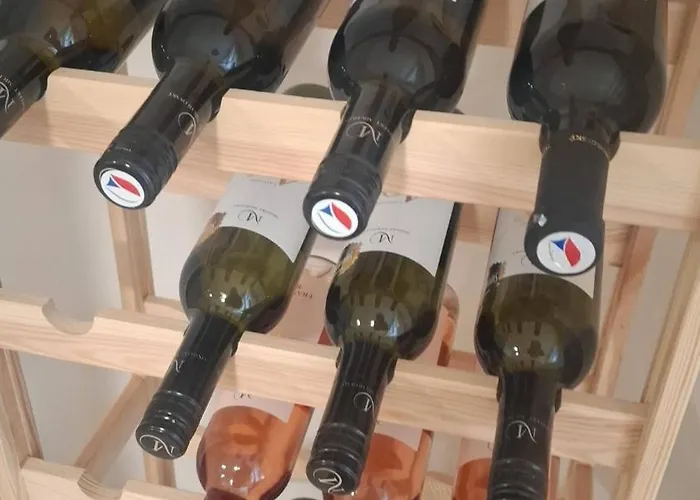 别墅 Slunecni Terezka ,penzion Pro Skupiny Se Snidani,degustaci Vin *